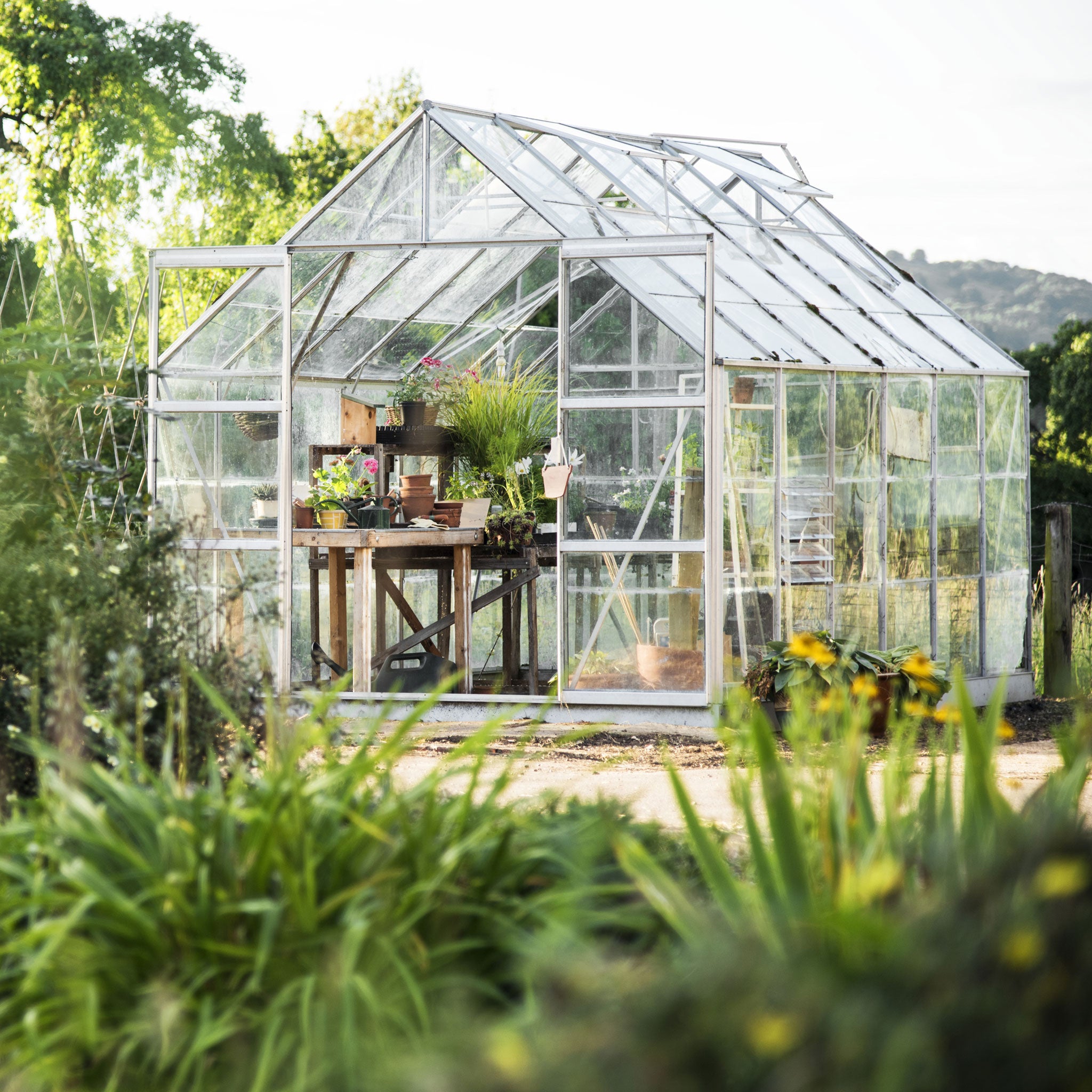 Garden Greenhouse Kits and Supplies – Mother Earth News