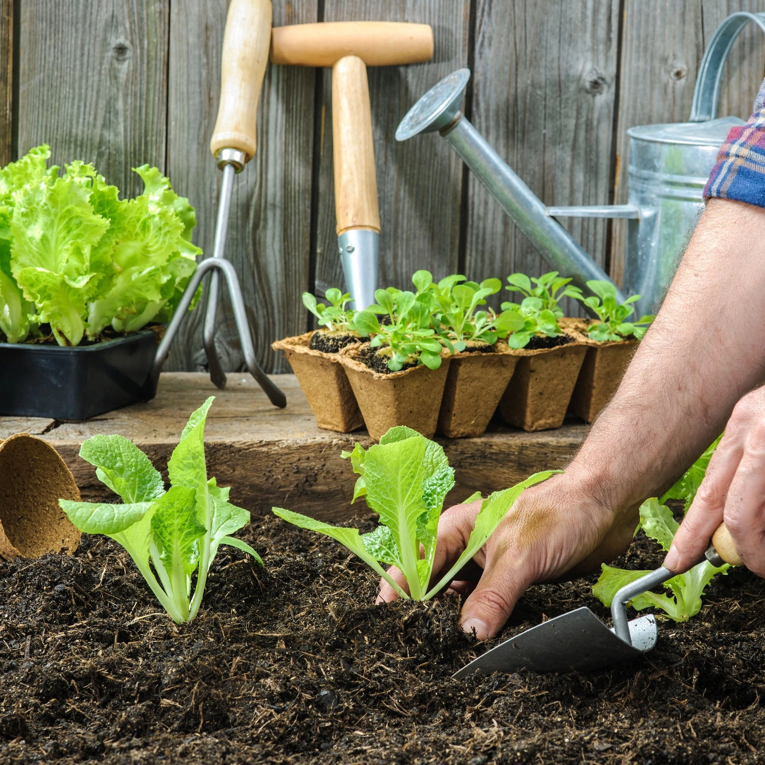 Gardening Tools