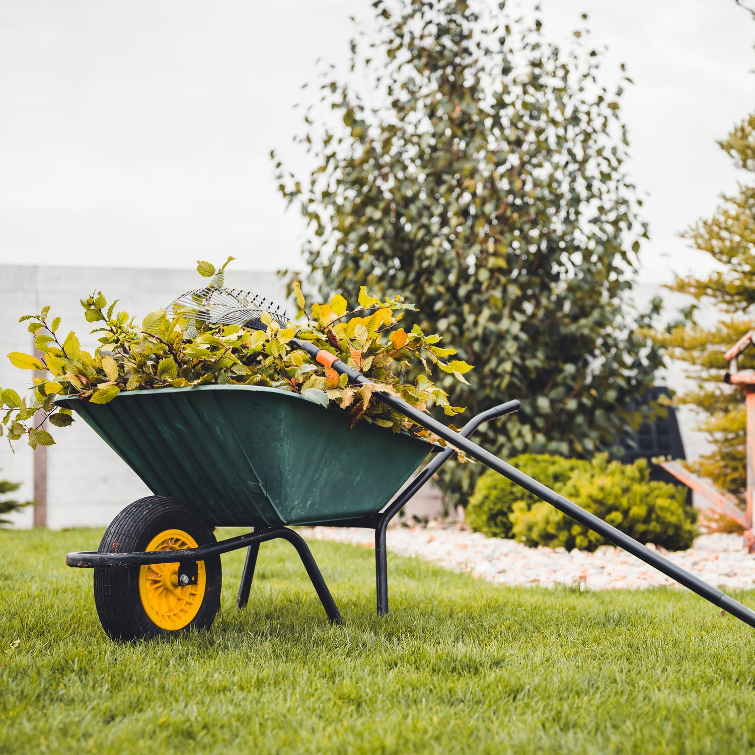 Homesteading & Off-Grid Tools & Supplies