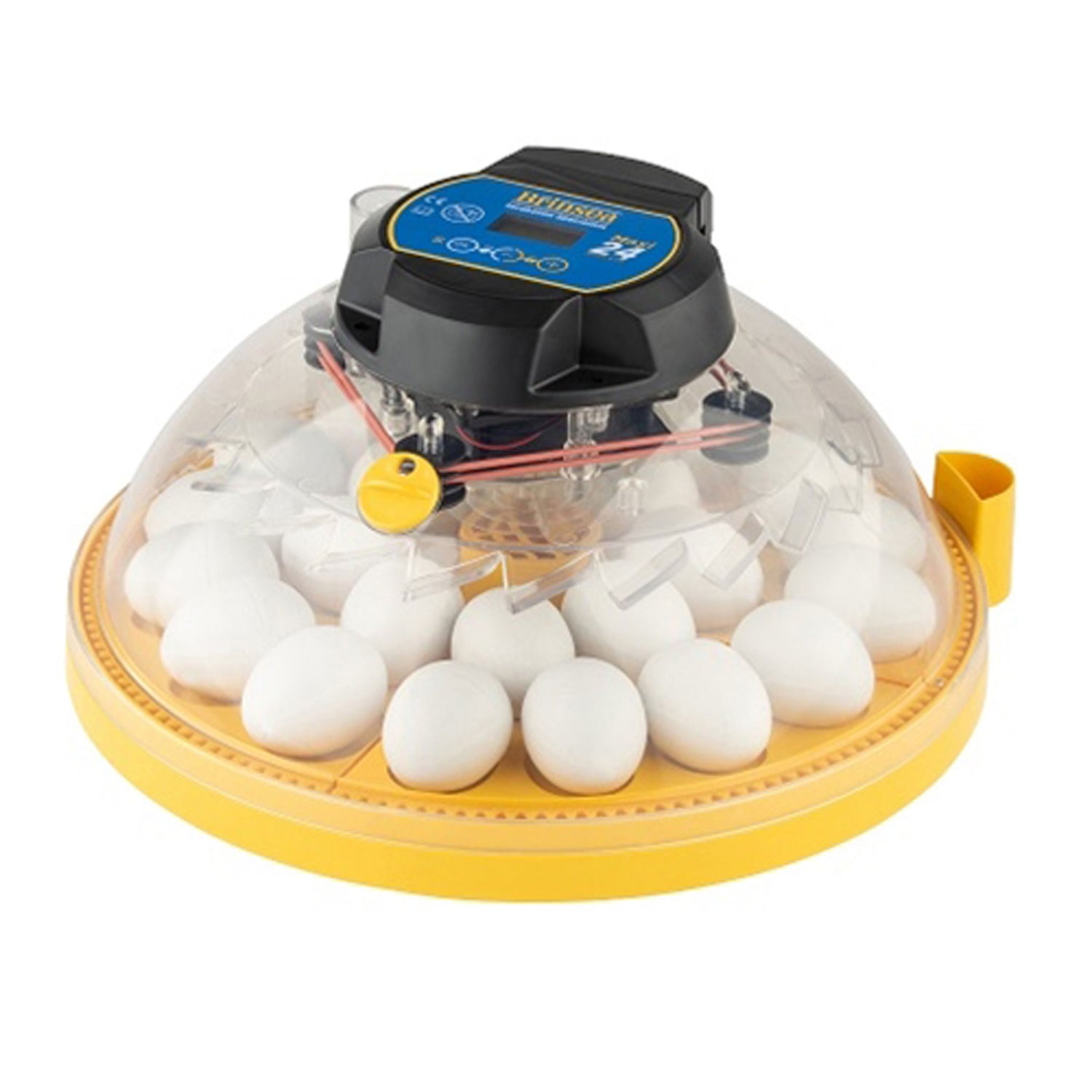 Poultry Tools & Supplies