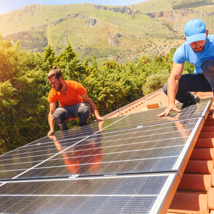 Renewable Energy & Green Homes