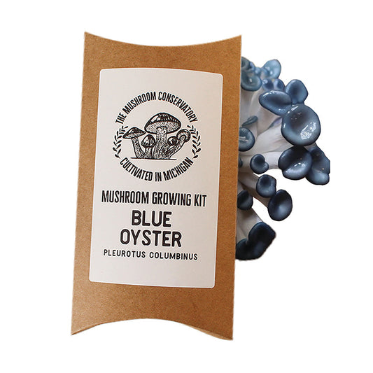 BLUE OYSTER MUSHROOM GROWING KIT