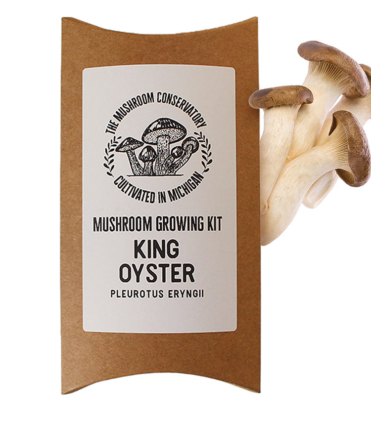 King Oyster Mushroom Growing Kit
