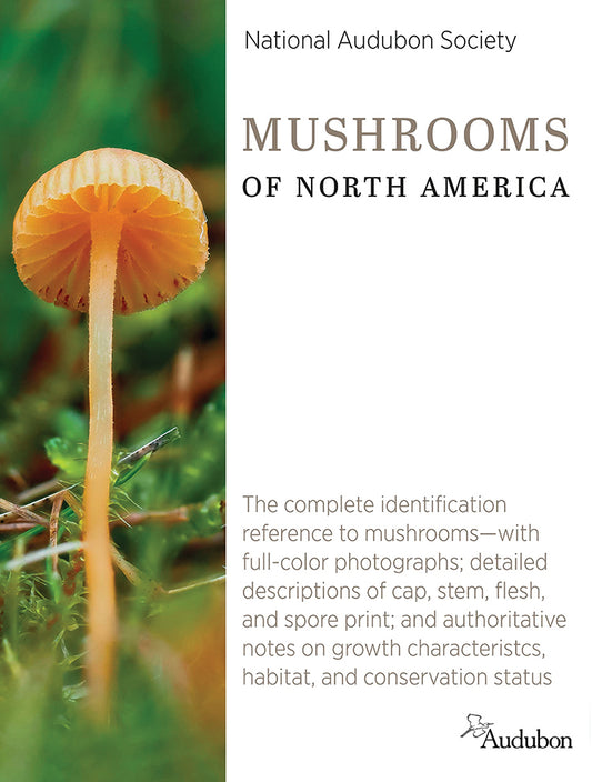 MUSHROOMS OF NORTH AMERICA