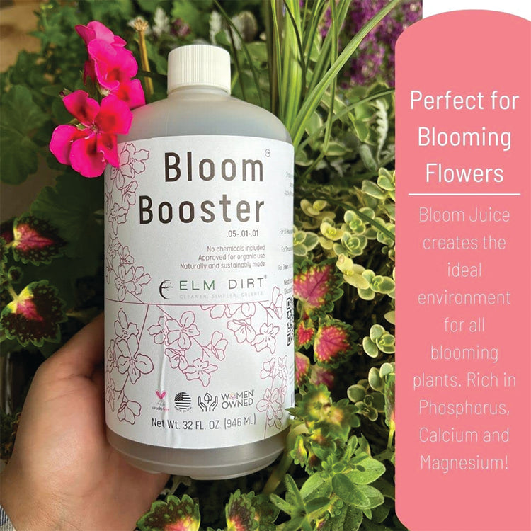 BLOOM JUICE