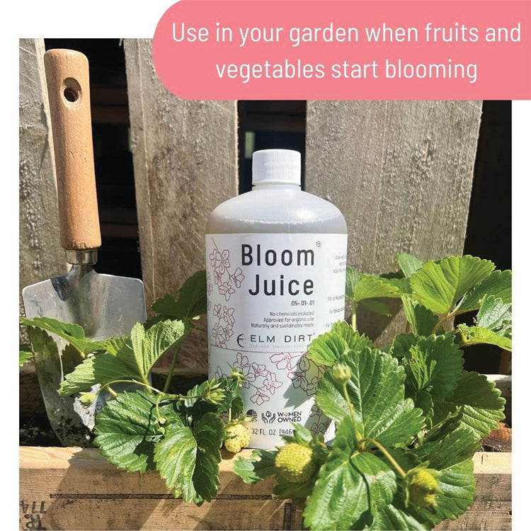 BLOOM JUICE