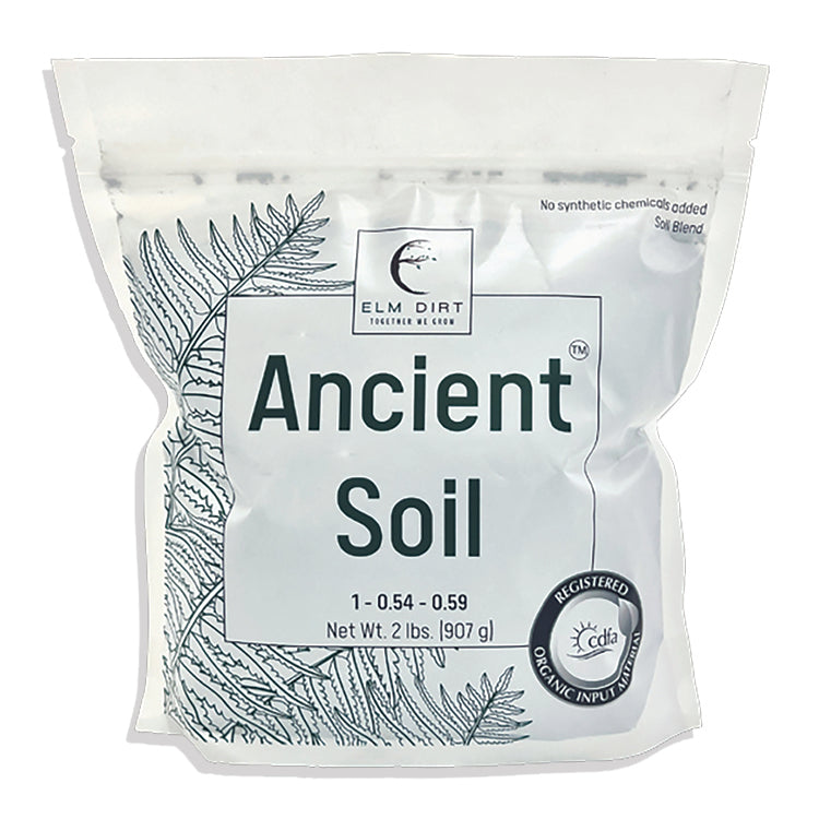 ANCIENT SOIL