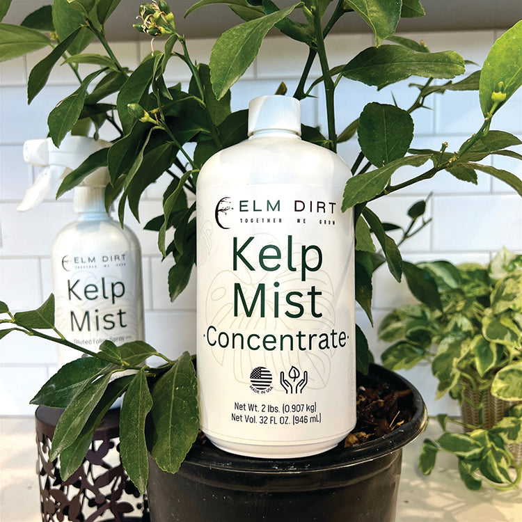 KELP MIST