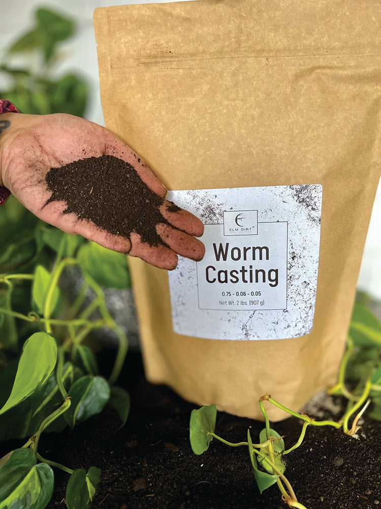 WORM CASTING