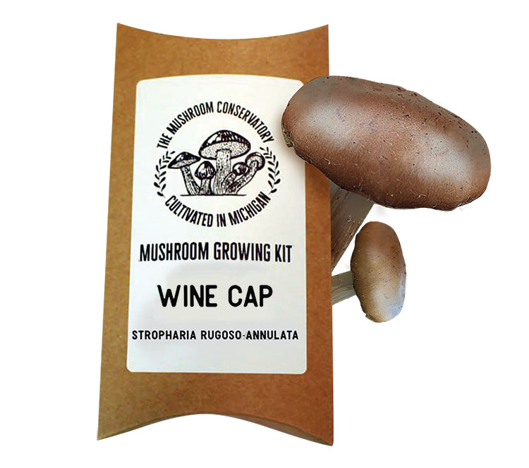 Wine Cap Mushroom Growing Kit