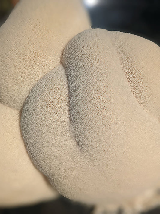 Lion's Mane Grow Kit