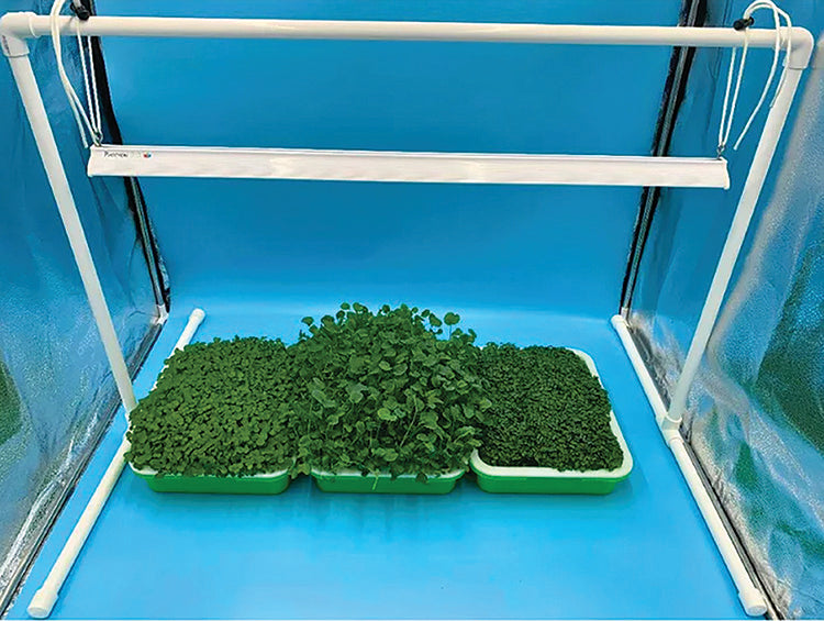 GROW LIGHT STAND: PVC DESIGN FOR INDOOR GARDENING WITH GROW LIGHTS