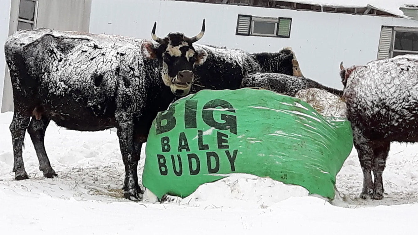 Big Bale Buddy