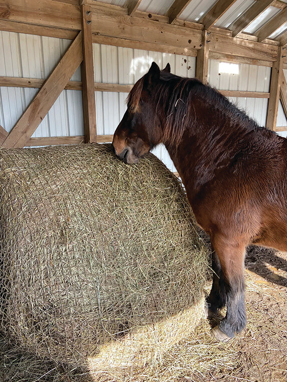 SLOW BALE BUDDY