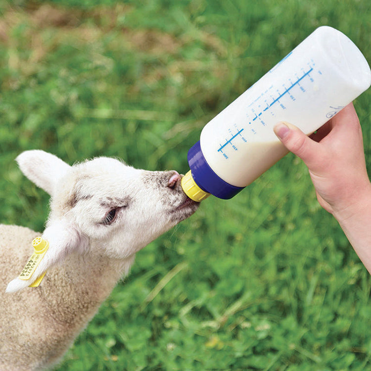 WIDE MOUTH LAMB 'N' KID FEEDING BOTTLE