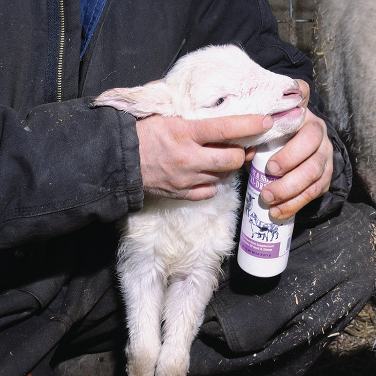 NUTRI-DRENCH FOR SHEEP & GOATS