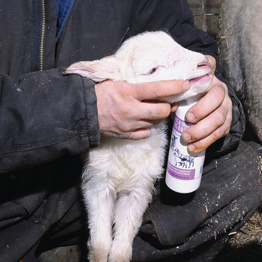 Nutri-Drench For Sheep & Goats