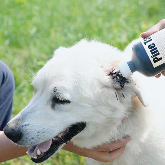 Pine Tar - 16oz Bottle