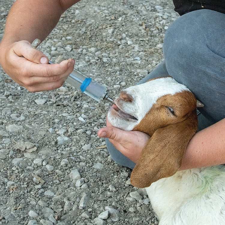 Small Flock Drencher