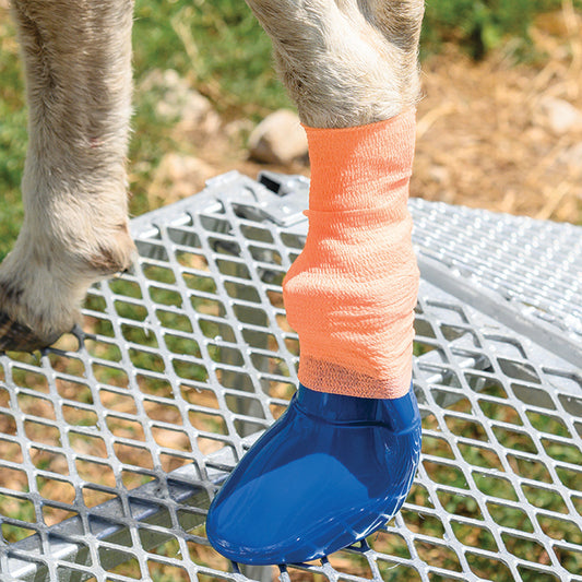 Sureflexx Elastic Bandage Wrap