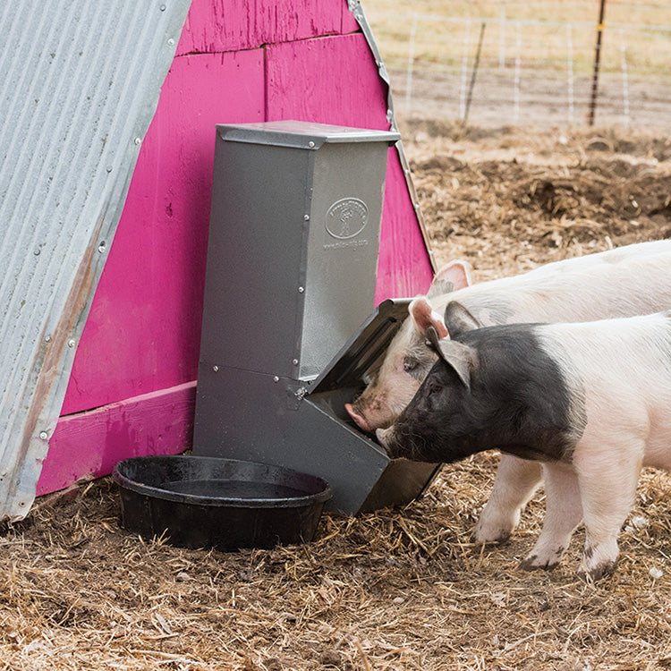 Single Door Hog Feeder