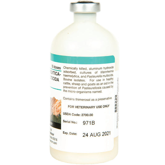 M. Haemolytica Pasteurella Multocida