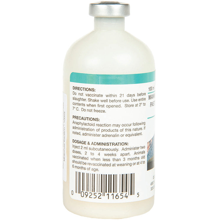 M. Haemolytica Pasteurella Multocida