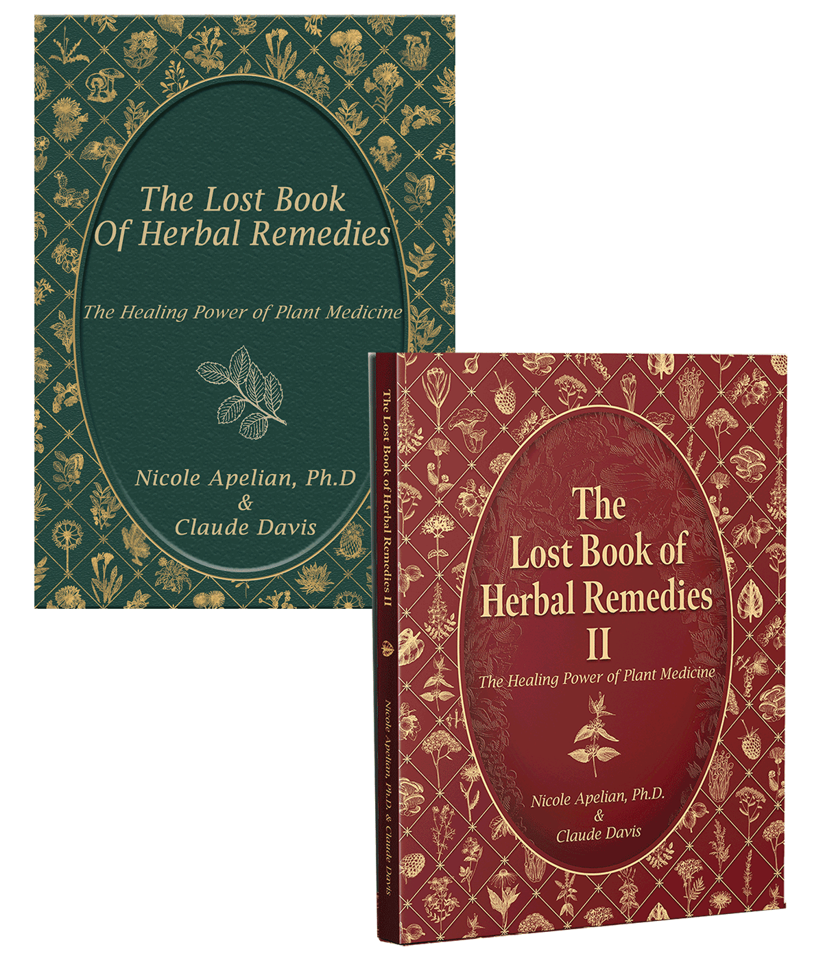 The Lost Book Of Herbal Remedies Set