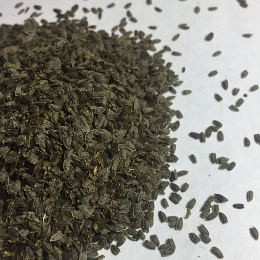 Spilanthes, Official (Acmella oleracea)