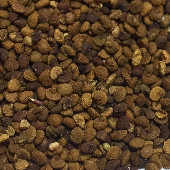 Skullcap, Official (Scutellaria lateriflora)