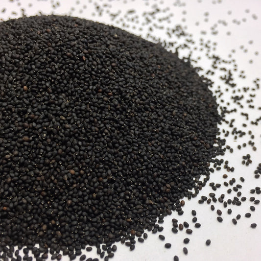 Tulsi, Temperate aka. Holy Basil (Ocimum africanum)