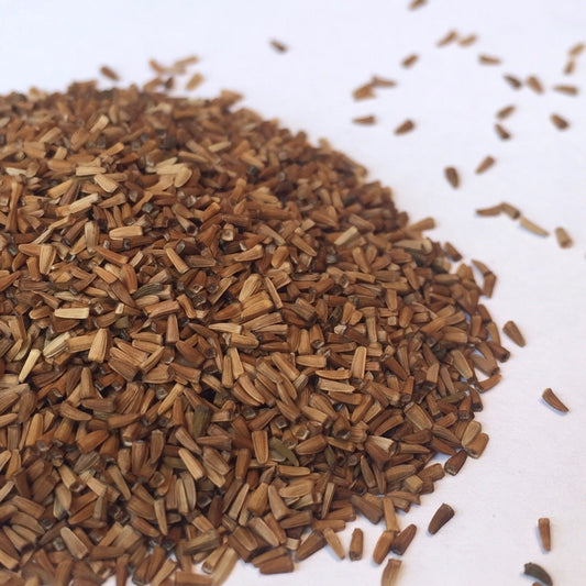 Chamomile, Dyer's (Anthemis tinctora)