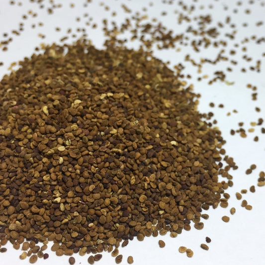 Skullcap, Official (Scutellaria lateriflora)