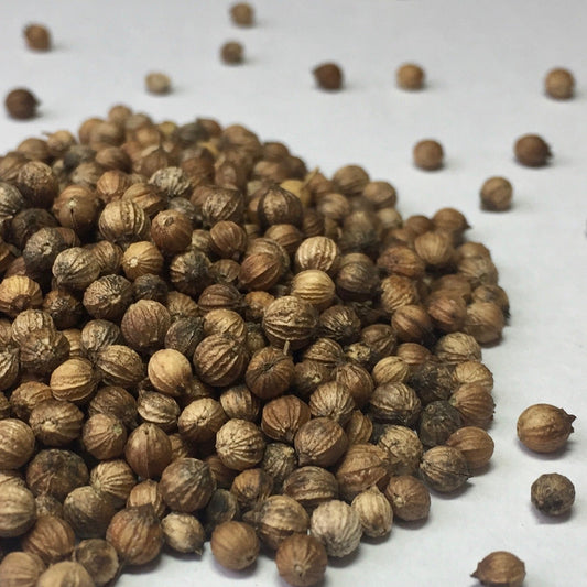 Cilantro, Slow Bolt (Coriandrum sativum)