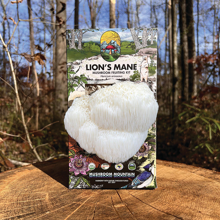 LIONS MANE POM POM MUSHROOM FRUITING KIT