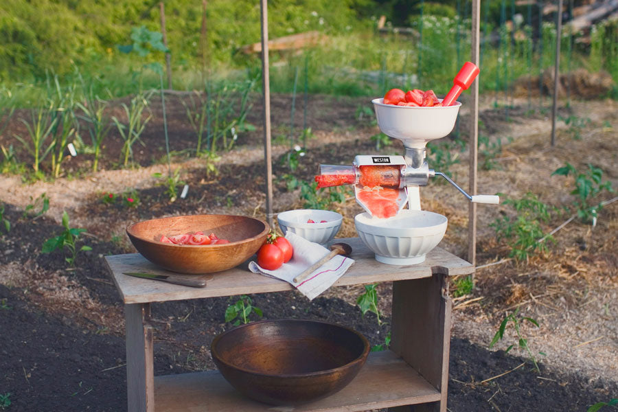 Tomato Press & Strainer