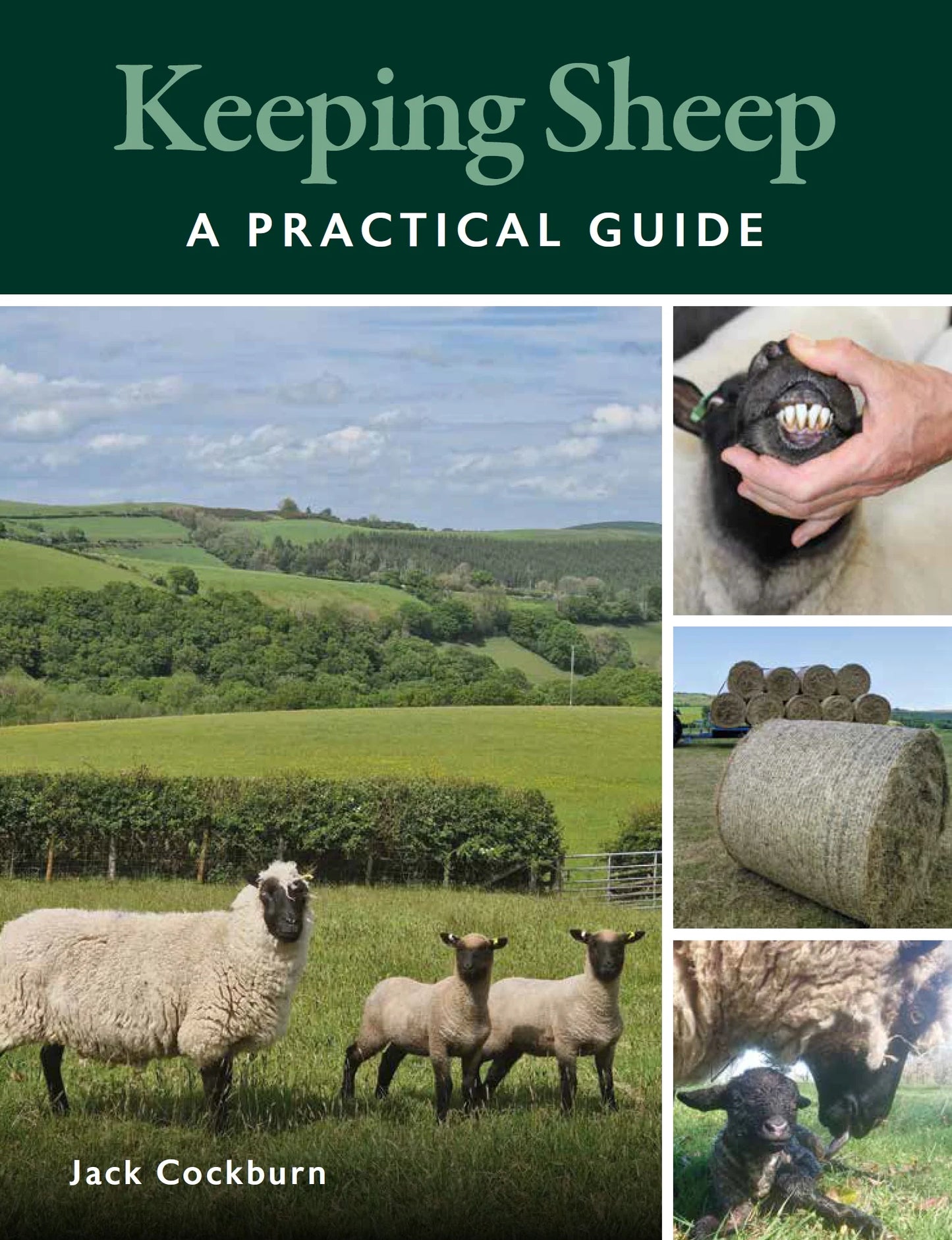 Keeping Sheep: A Practical Guide