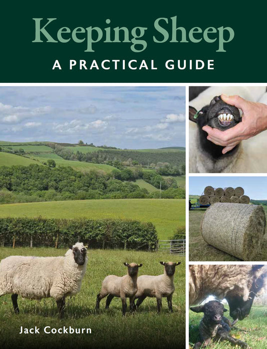 Keeping Sheep: A Practical Guide