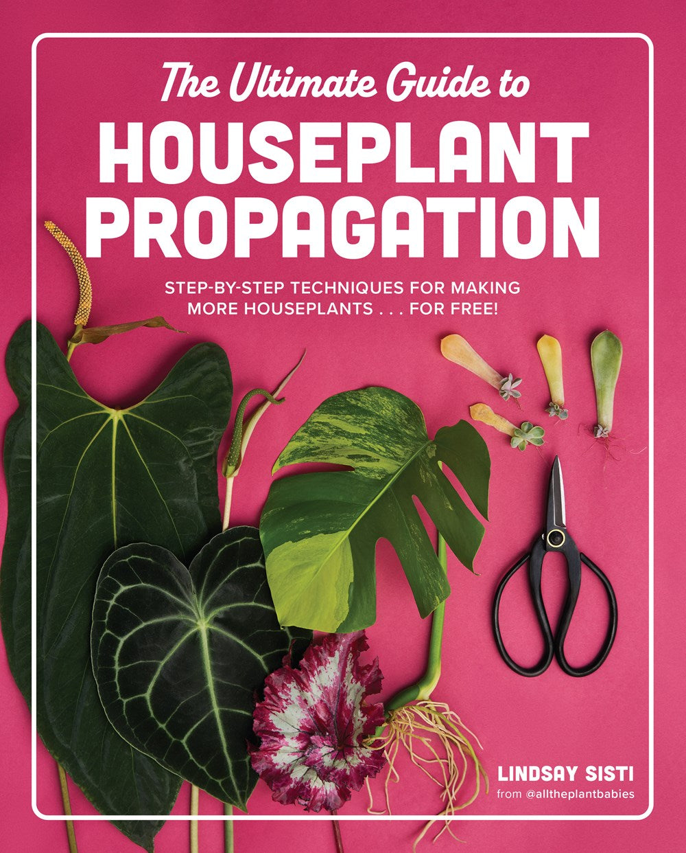 THE ULTIMATE GUIDE TO HOUSEPLANT PROPAGATION
