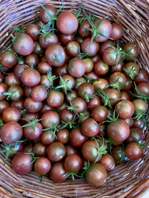 Black Cherry Tomato