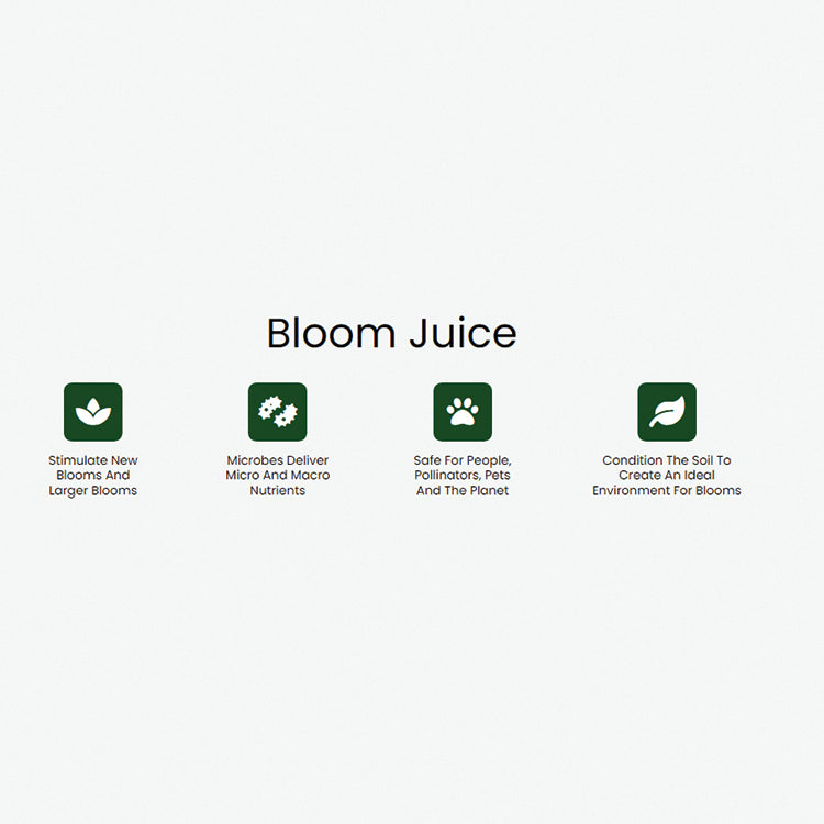 BLOOM JUICE