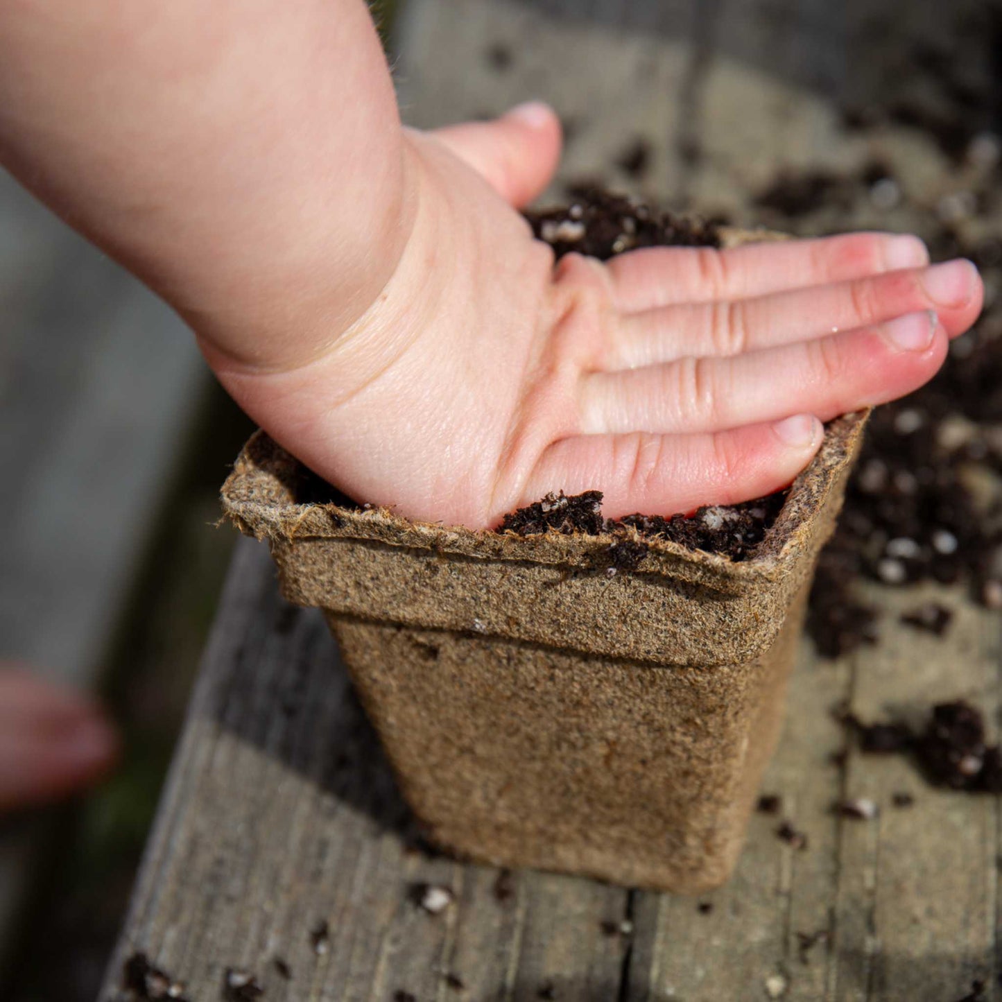 CowPots® #3 Square