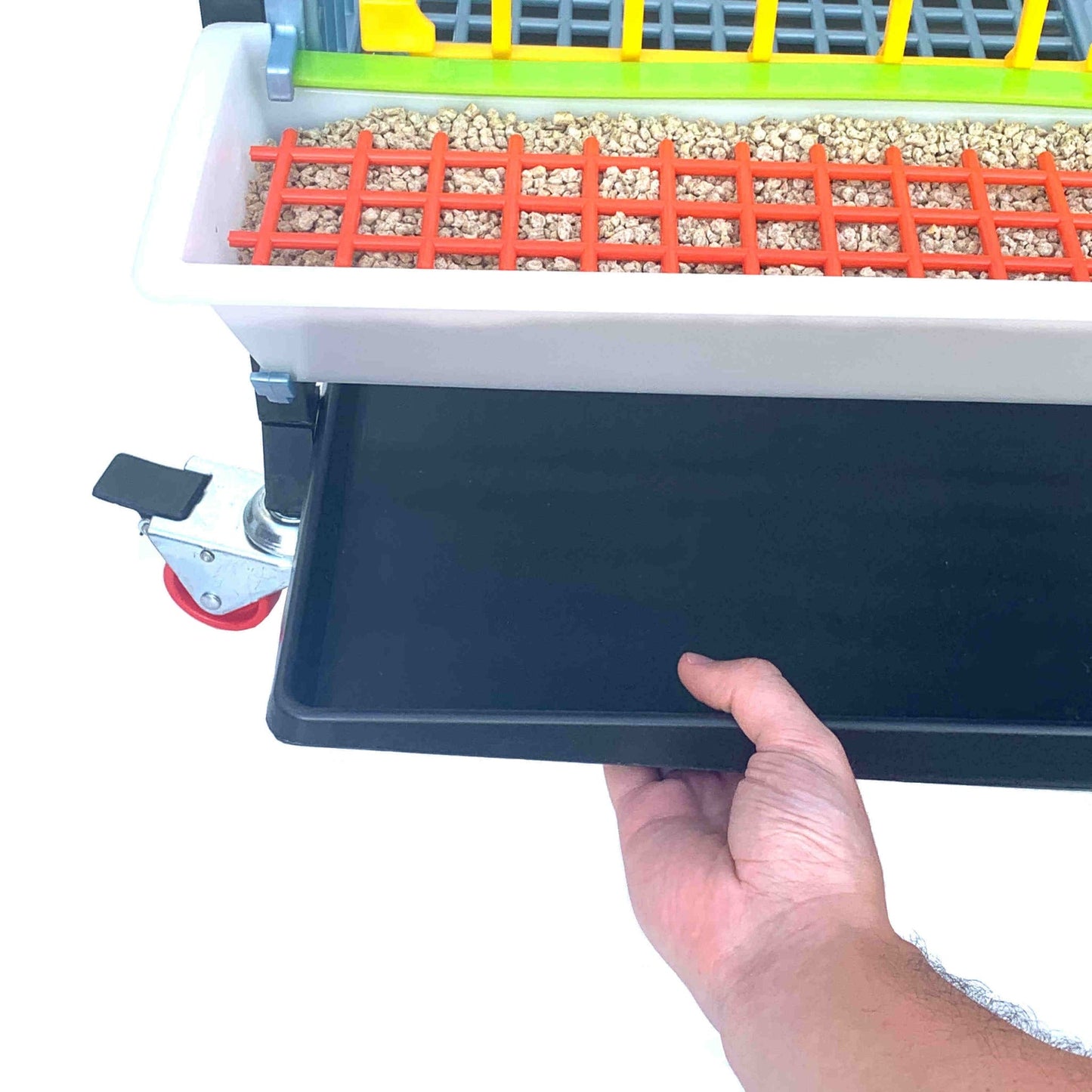 Grow Out Pen - 4 Layer H:15"