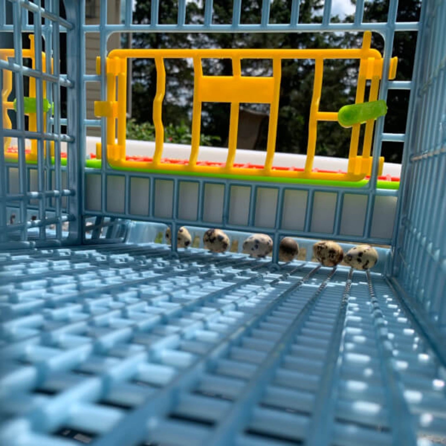 Quail Cage - Double Layer Addition