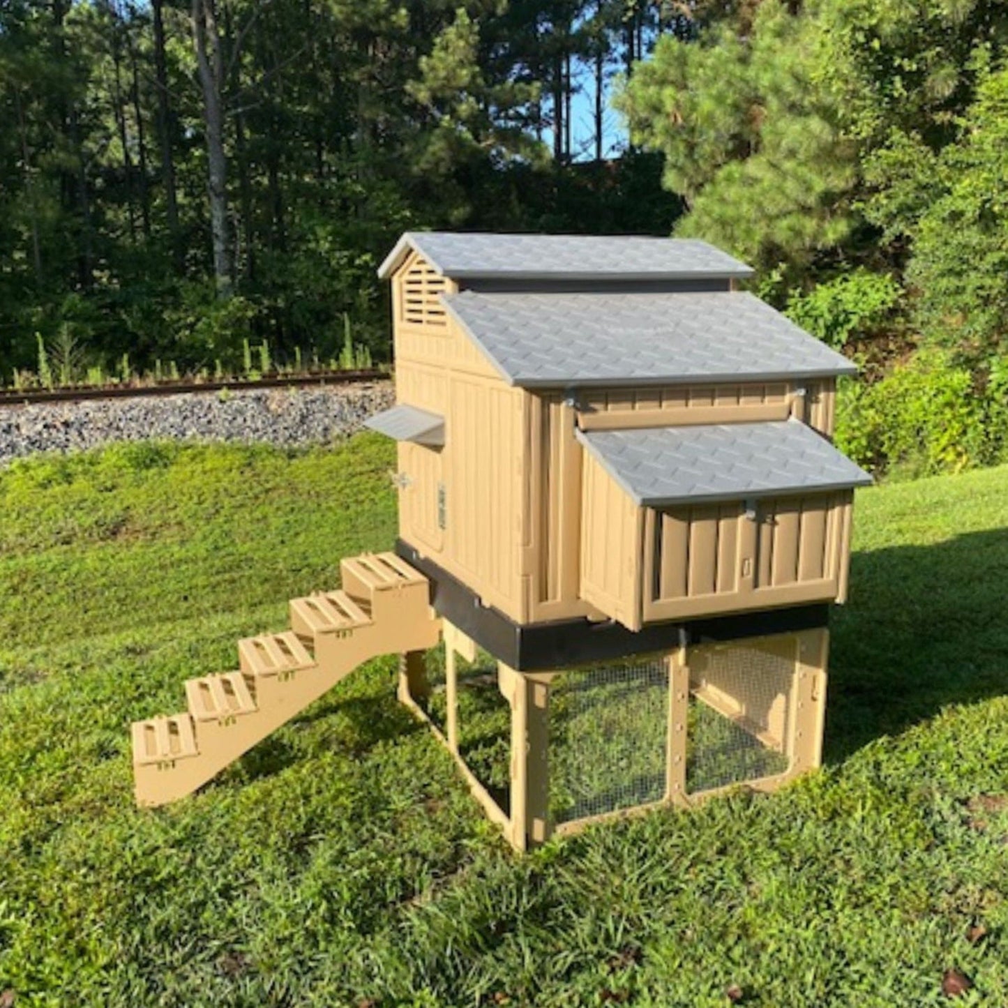Large Chicken Coop & Stand with Stairs