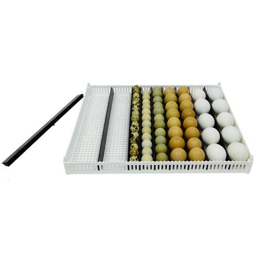 Egg Setter Tray (Flexy80ST)