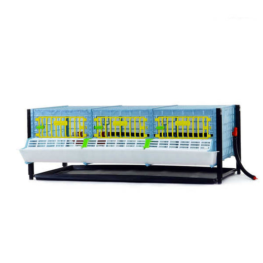 Grow Out Pen - H:9.5" Layer Addition