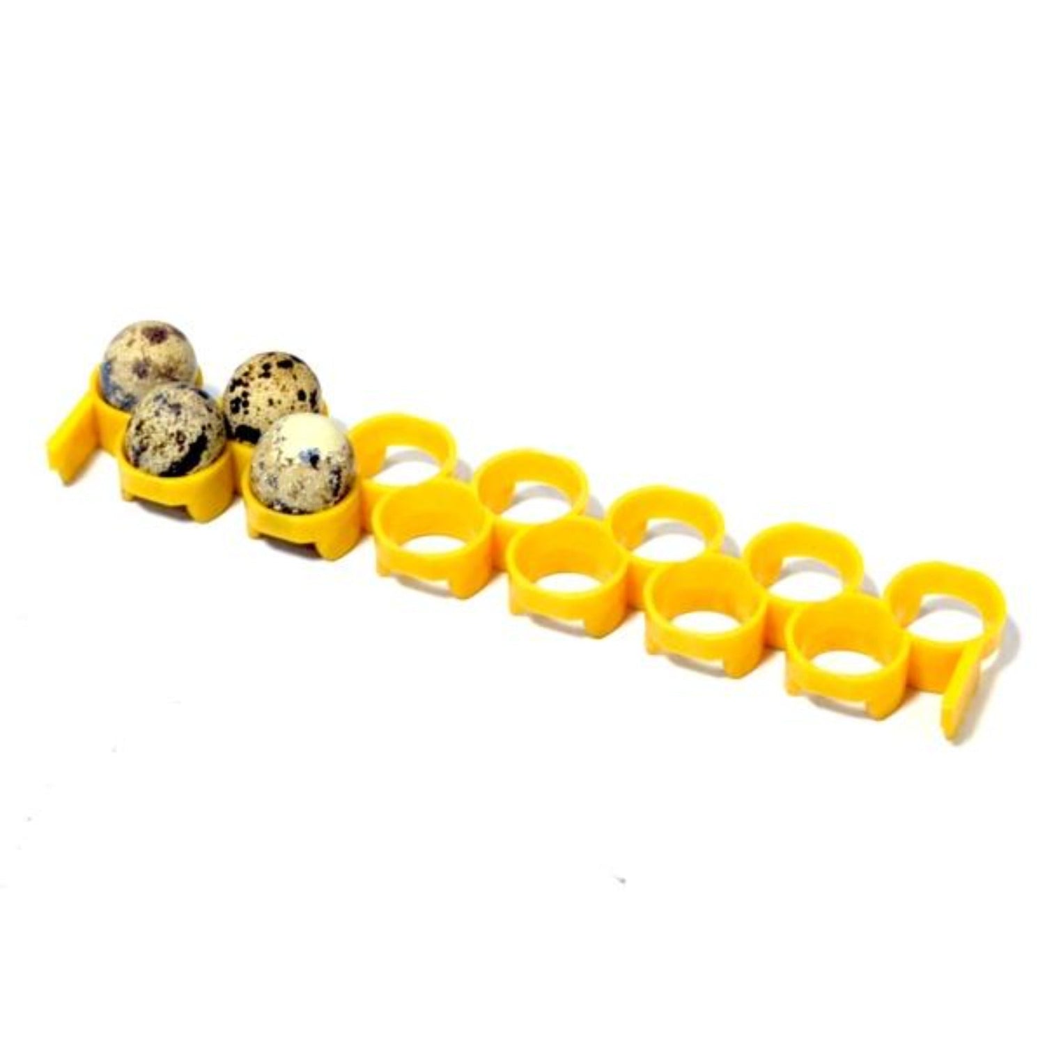 Egg Incubator Tools