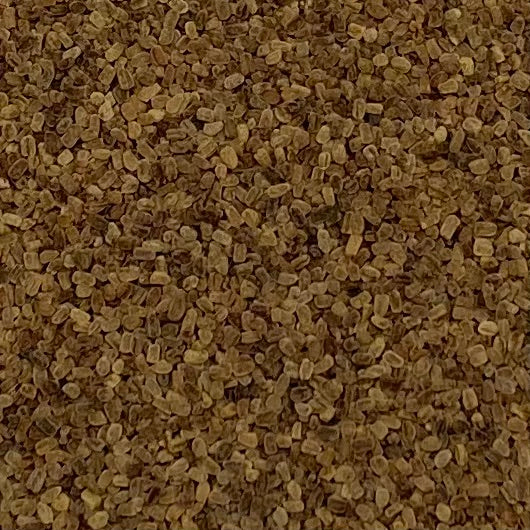 Foxglove, Purple (Digitalis purpurea)