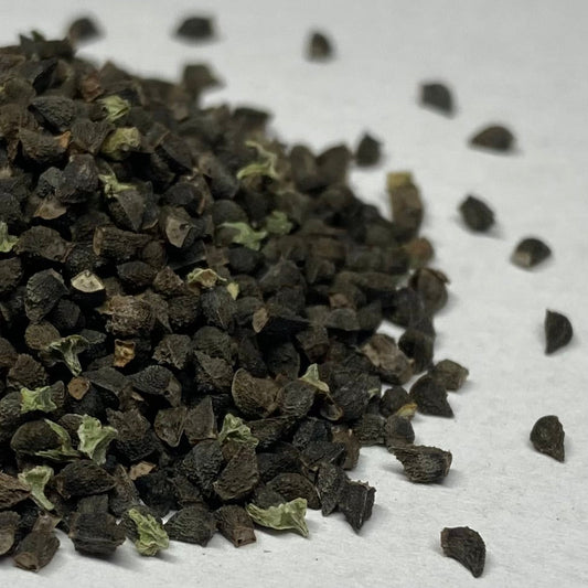 Viper's Bugloss (Echium vulgare)